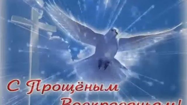 Голубь смотреть онлайн