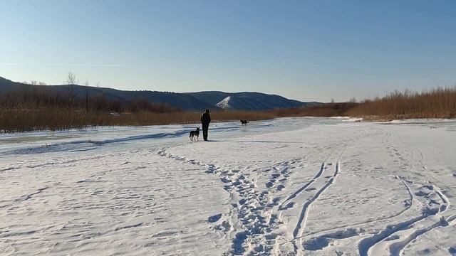 Прогулка по протокам и Волге, ходим по льду смотреть онлайн