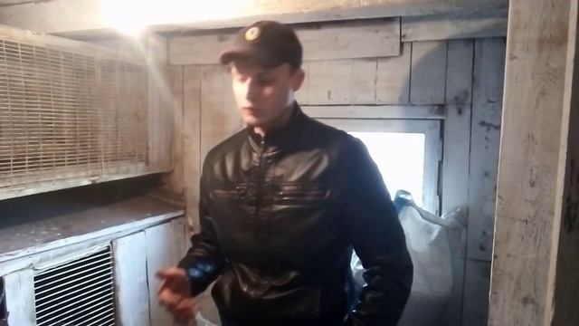 кормим кроликов и рассказываем особенности пород смотреть онлайн