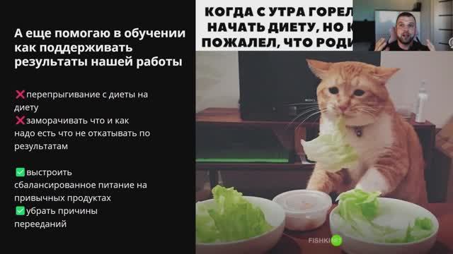 С чего начать и что тебя ждет. ССЫЛКА НА АНКЕТУ В ОПИСАНИИ ПОД ВИДЕО 👇