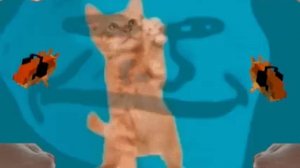 go kitty go phonk 1 hour