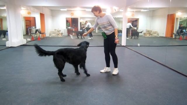 Барик Ложечка смотреть онлайн