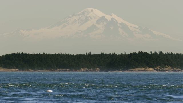 BBC: Планета Земля III 1 серия «Побережья» (документальный сериал, 2023) смотреть онлайн