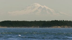 BBC: Планета Земля III 1 серия «Побережья» (документальный сериал, 2023)