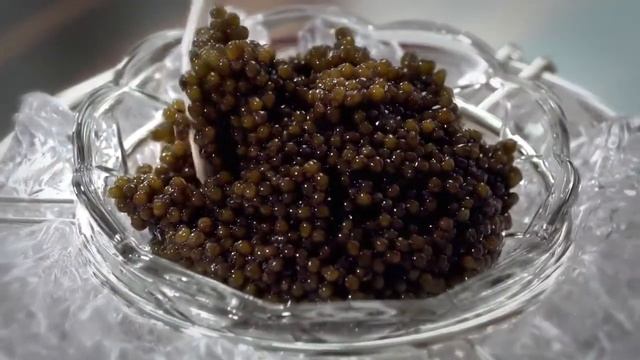 Störkaviar Lemberg смотреть онлайн