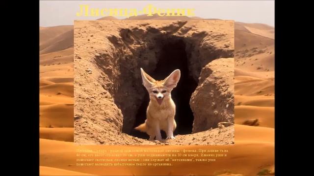 Я лиса, зовут фенёк смотреть онлайн