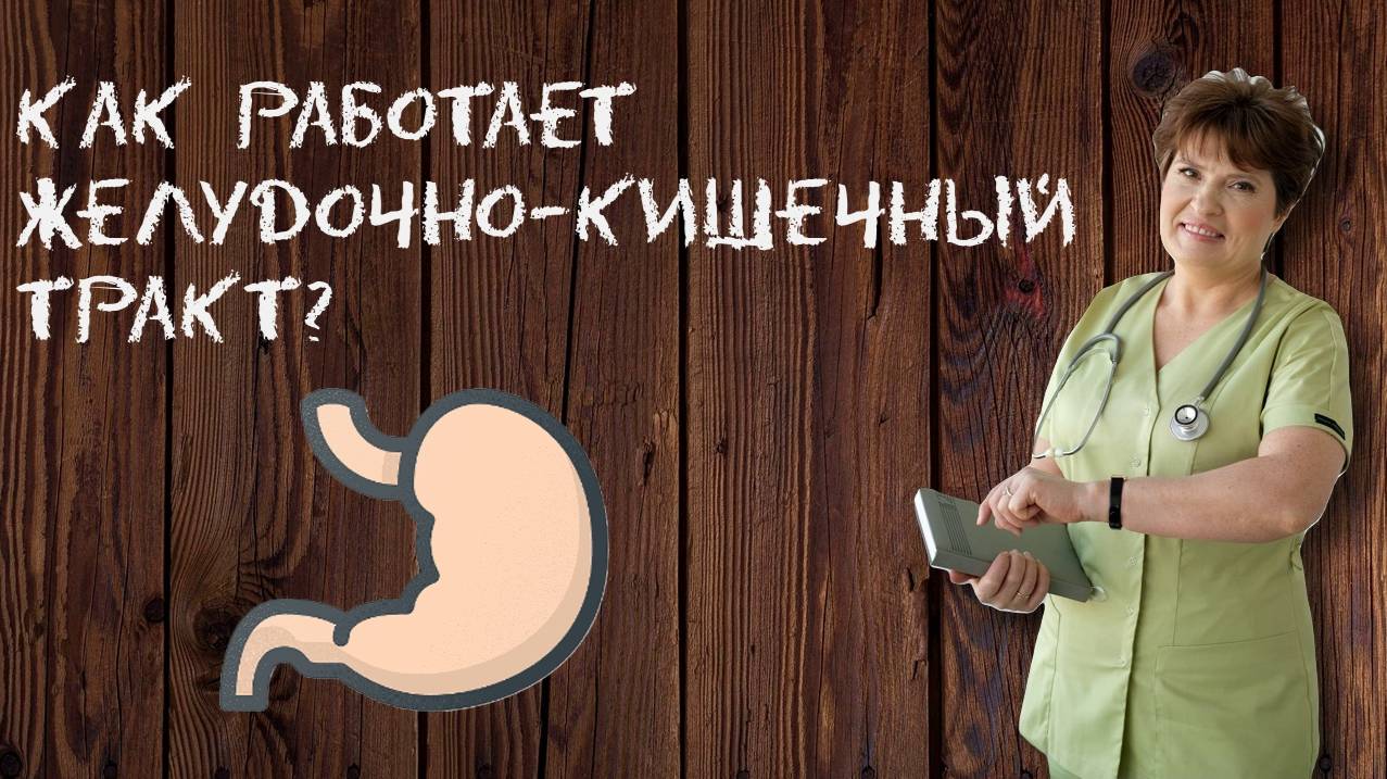 Как работает ЖЕЛУДОЧНО-КИШЕЧНЫЙ ТРАКТ? 😮 От рта до кишечника: удивительные процессы внутри нас! 🌀 смотреть онлайн