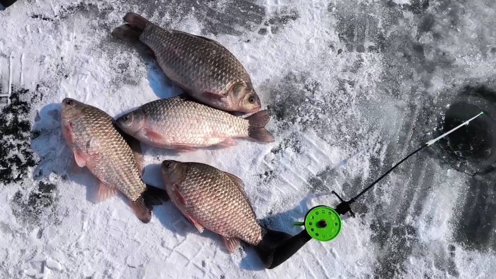 В ЭТИХ ЛУНКАХ ТОННЫ РЫБЫ! Жор КАРАСЯ в марте! Зимняя рыбалка на карася. смотреть онлайн
