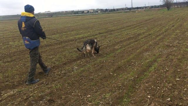 След номер 6 смотреть онлайн