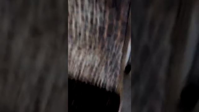 Как мы с сестрой дурачимся смотреть онлайн