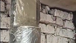 Вентиляция погреба и гаража в одной трубе.