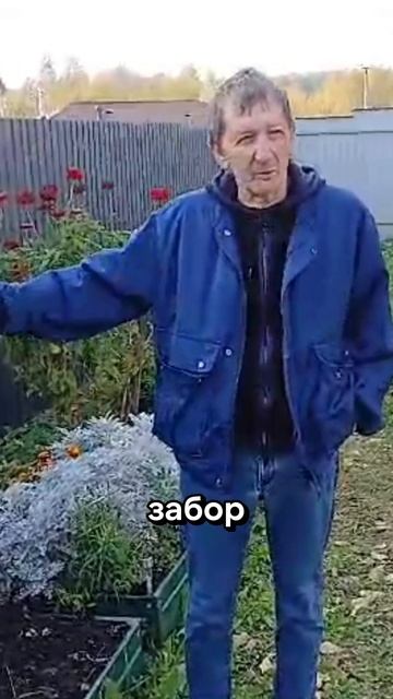 Отзыв клиента Заборы 2.0 #заборы #заборыподключ #заборизпрофнастила #заборизевроштакетника #shorts смотреть онлайн