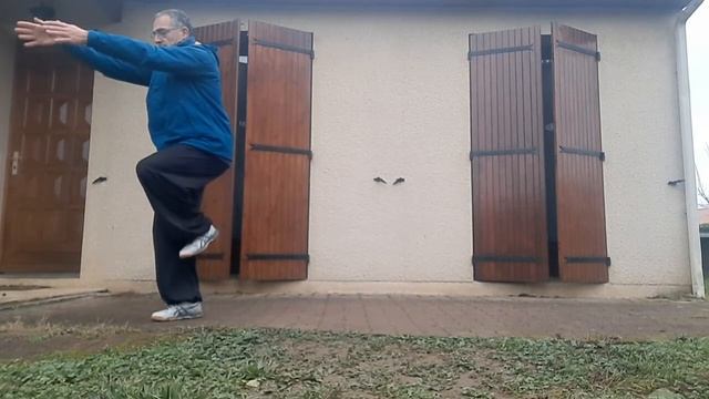 Wudang shi san shi - 13 potentiels - de face смотреть онлайн