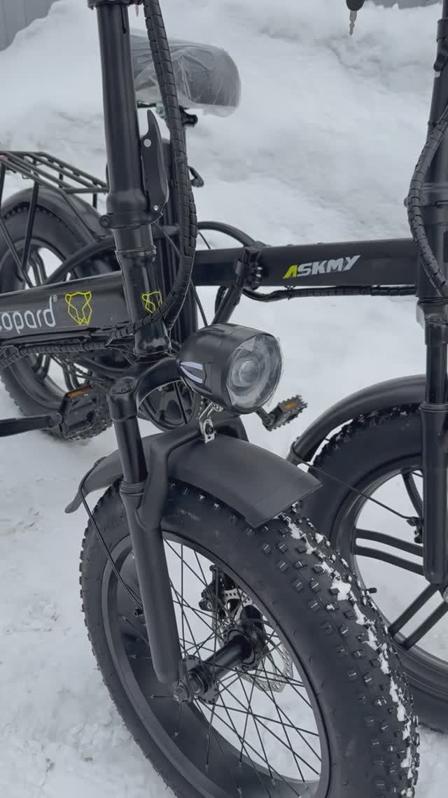 Электровелосипед Leopard E-bike 20 
1000 ватт