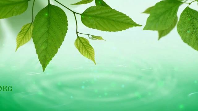 Вадим Чернобров - Как найти следы путешественников во Времени 1 из 2