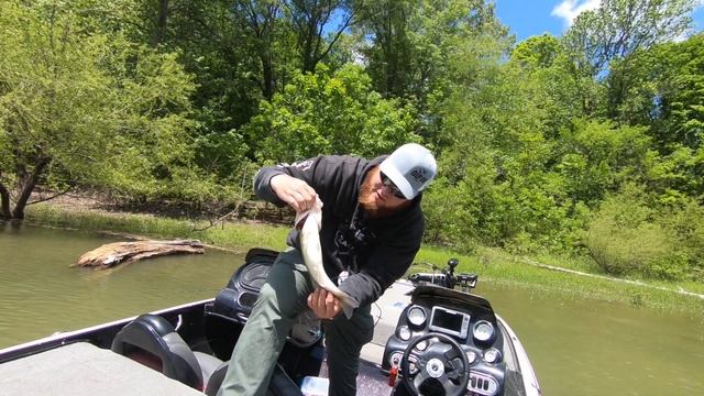 How to bed fish for bass смотреть онлайн