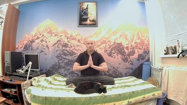 человек и Кошка в Ом Намах Шивая 26 Декабря № 2. смотреть онлайн