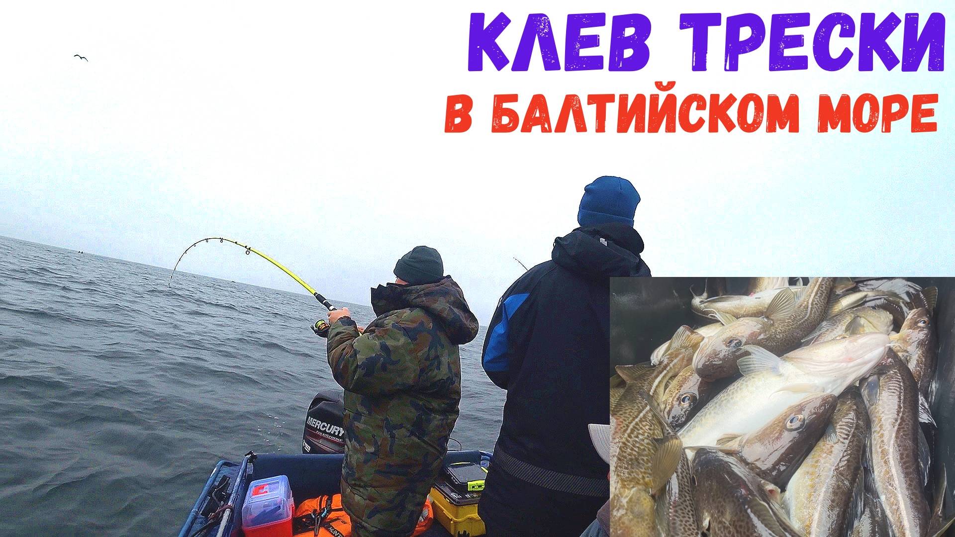 ПАЛКА В ДУГУ НА КАЖДОМ ЗАБРОСЕ! Рыбалка на спиннинг в море март 2025 смотреть онлайн