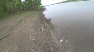 Ловля карася на Резинку с  берега