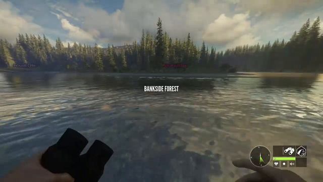 Thehunter: Call of the Wild So sick of troll animals Troll Grizzly смотреть онлайн