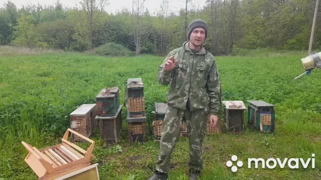 УСТАНАВЛИВАЕМ ЛОВУШКИ ДЛЯ ПЧЁЛ. Комплектация и выбор места. 1.05.2023 смотреть онлайн