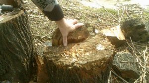 Жизнь в деревне