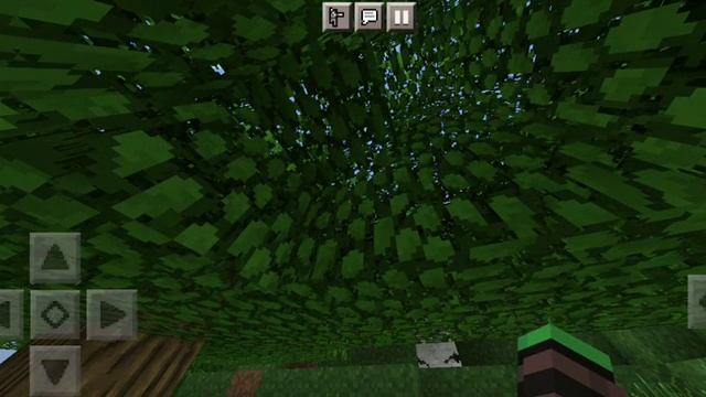 Выживание на сервере dygers.ru|# 1 смотреть онлайн