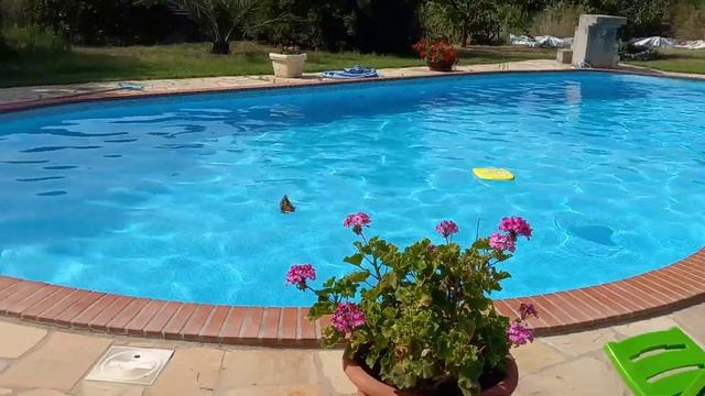 Всем доброе утро и хорошего настроения Лето это маленькая жизнь смотреть онлайн