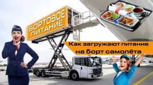 КАК ЗАГРУЖАЮТ ПИТАНИЕ НА БОРТ САМОЛЁТА | БОРТОВОЕ ПИТАНИЕ #airport #driver #crew
