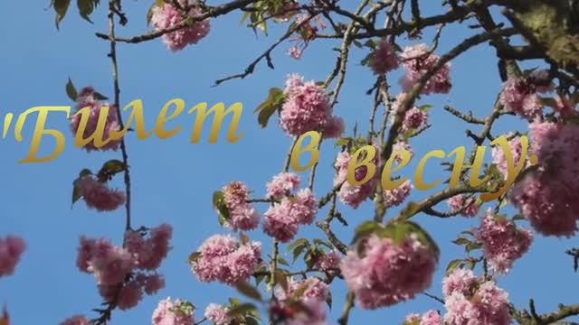 Билет в весну. смотреть онлайн