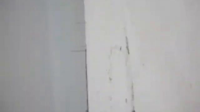 кайт і 4 добровольця, хто кого :)) смотреть онлайн