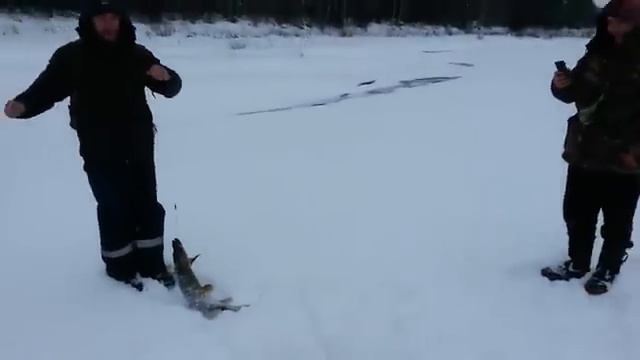 Кажеться я чёто поймал смотреть онлайн