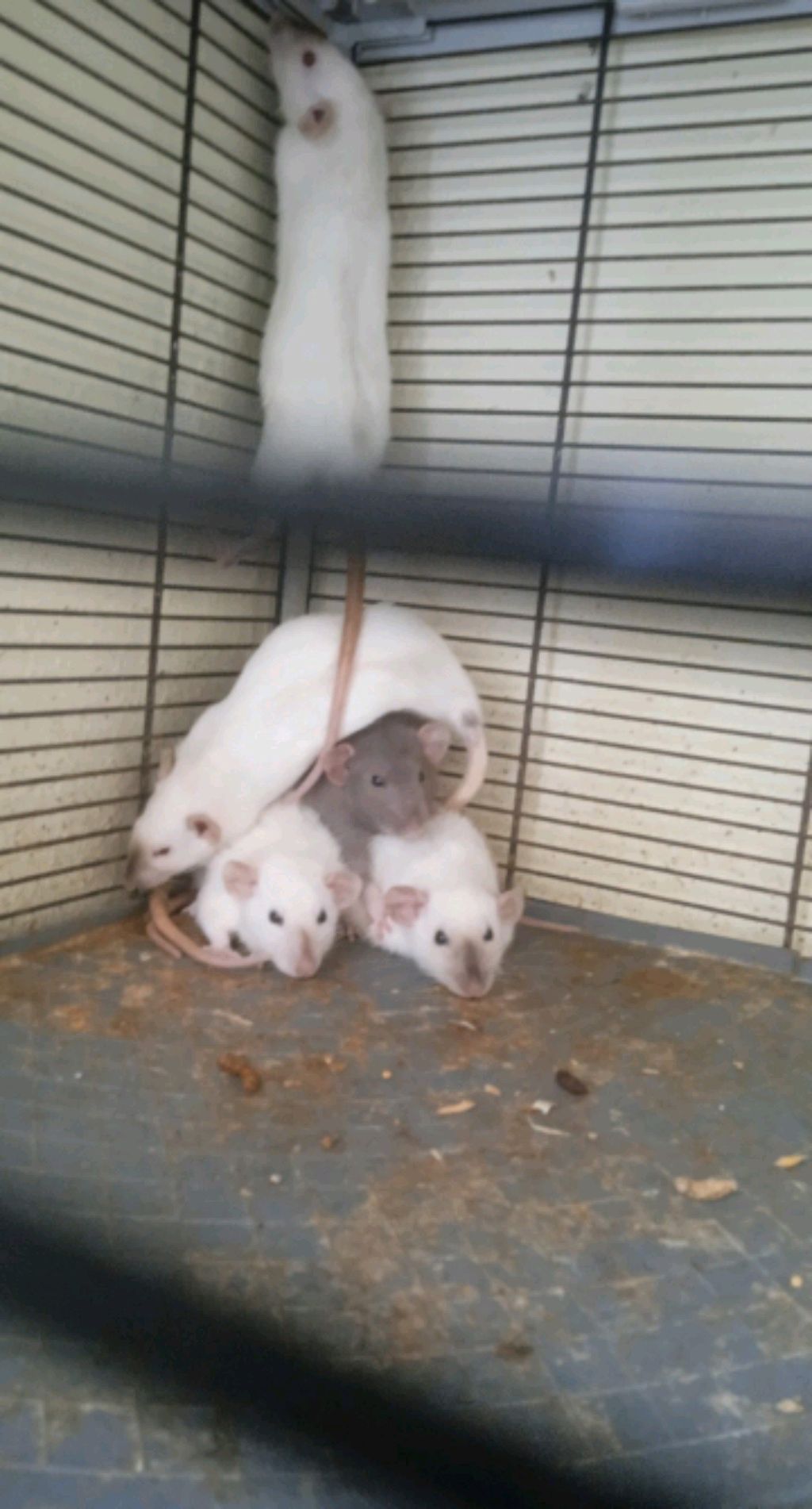 2 часть смотреть онлайн