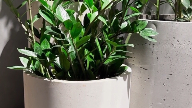 Кальянная Верфь и наши изделия из бетона!