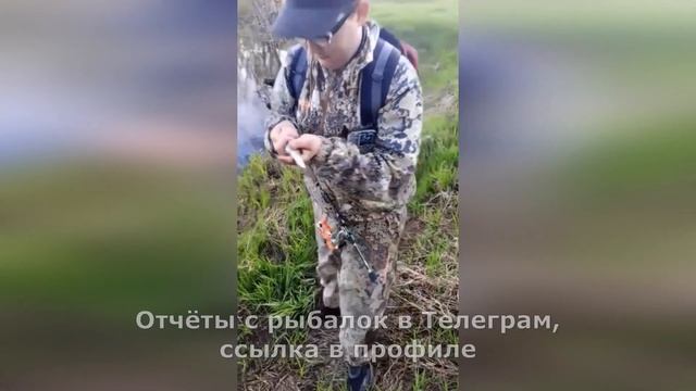 Голавль на мормышинг в речке. Рыбалка в Ленинградской области смотреть онлайн