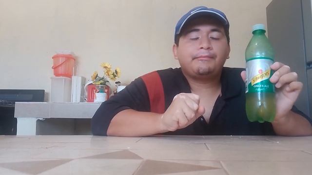 🔥Probando El refresco Schweppes de peñafiel 😋👌🔥# el una vez смотреть онлайн