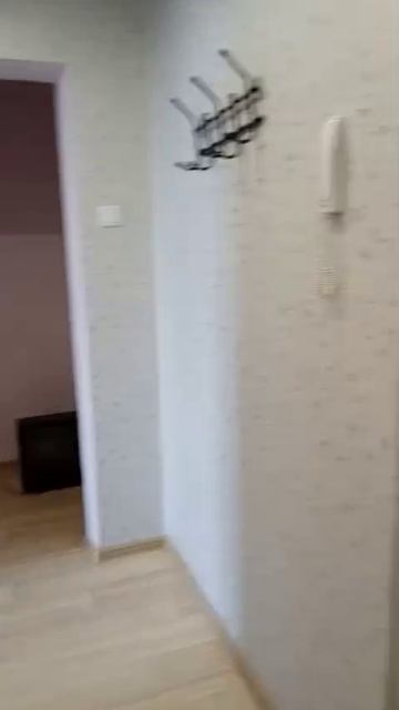 WhatsApp Video 2025-03-04 At 12.05.38