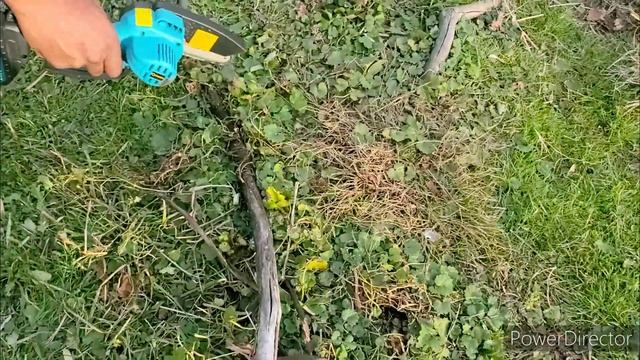 Saker Mini Electric Chainsaw Review 12/18/22 #saker #review #prepper #chainsaw смотреть онлайн