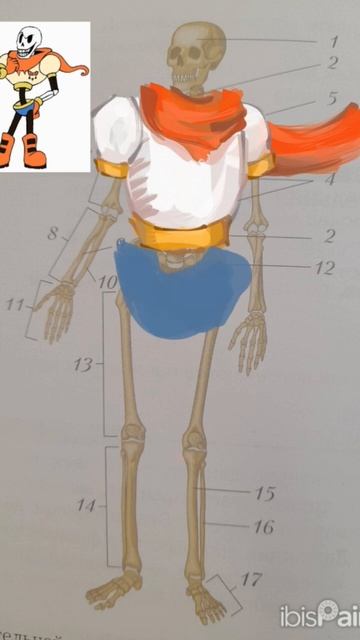 В учебнике по биологии был клевый скилет, прям Папс😎 #undertale #speedpaint #Андертейл #Папирус смотреть онлайн