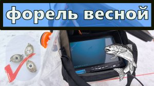 Ловим форель весной на платнике.