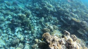 Gravity Hotel & Aquapark Sahl Hasheesh 5*