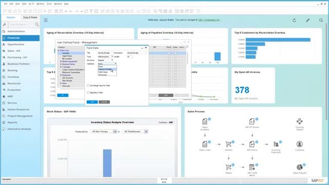 User Defined Fields and System Tables смотреть онлайн