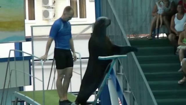 Море 5 смотреть онлайн