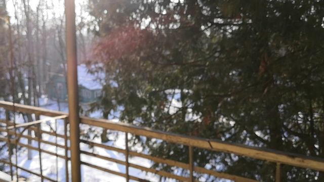 Чем нас кормят / Где мы живём и чем занимаемся (03.25)