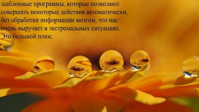 3/Видение "тонкого плана" от Лены Калашниковой. 06.03.2019г. смотреть онлайн