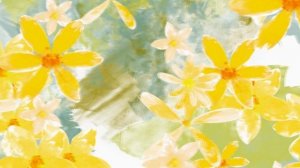 Футаж Желтые цветы