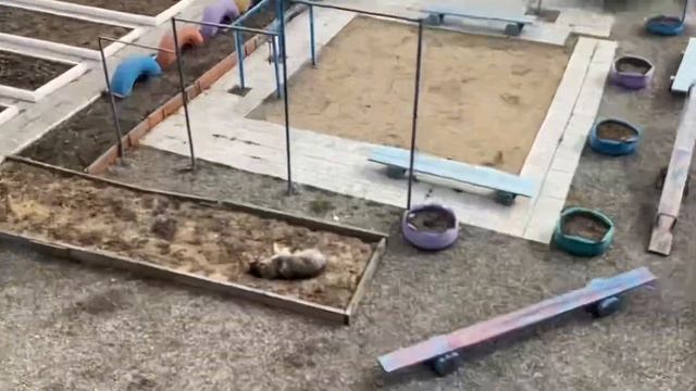 Купили продукты// 3-й день уборки 1.05.23