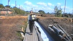 Лесокатка 1997 г.