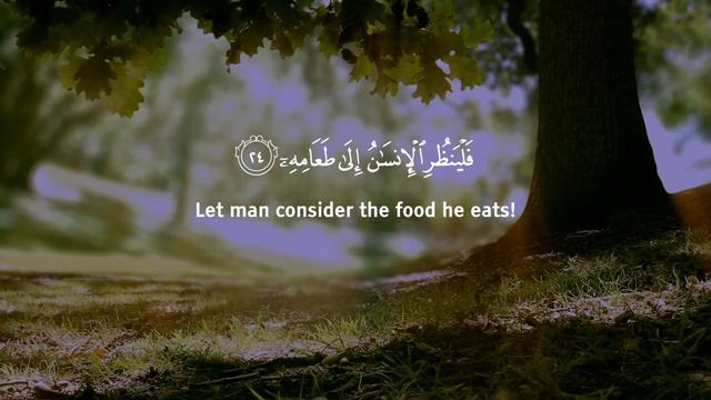 Красивое чтение Корана Сура Абама
Чтец: Омар Хишам смотреть онлайн