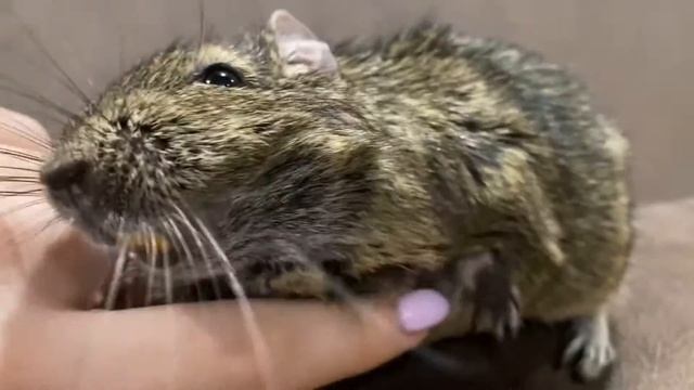 Для хорошего настроения смотреть онлайн